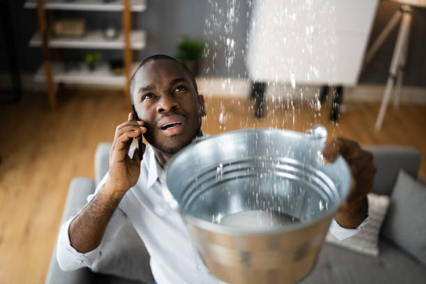 Best Local water damage restoration  in Lakeland Highlands, FL