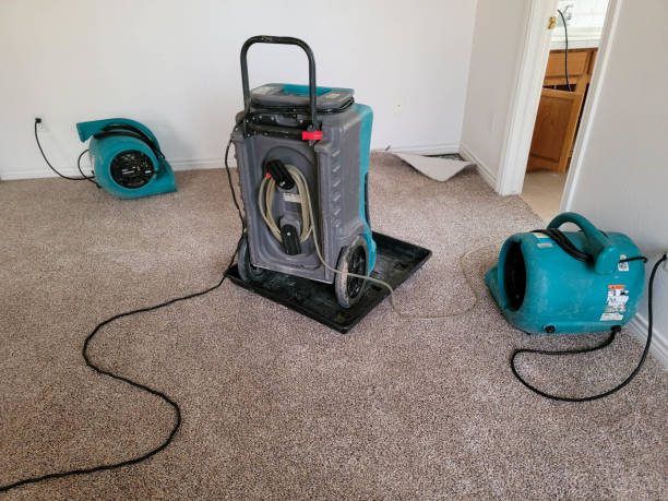 Best Water damage restoration process  in Lakeland Highlands, FL