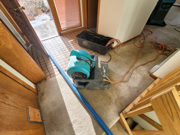 Best Commercial water damage restoration  in Lakeland Highlands, FL