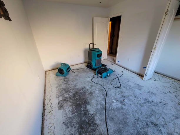 Best Flooded house restoration  in Lakeland Highlands, FL