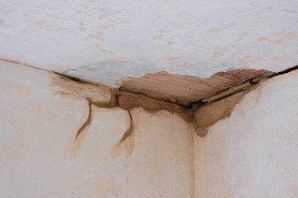 Best Water damage restoration insurance claims  in Lakeland Highlands, FL