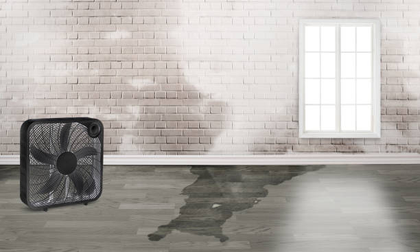 Best 24/7 water damage repair  in Lakeland Highlands, FL