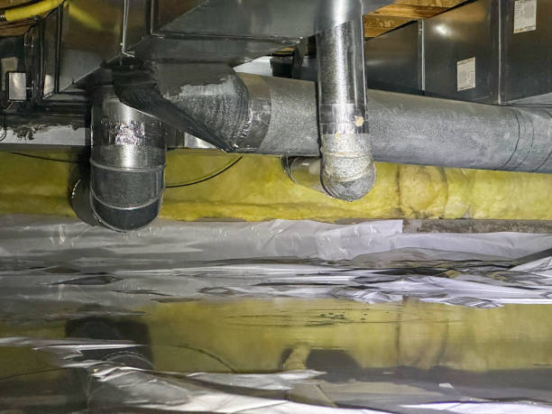 Best Flood damage cleanup  in Lakeland Highlands, FL