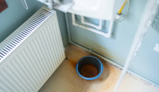 Best Flooded house restoration  in Lakeland Highlands, FL