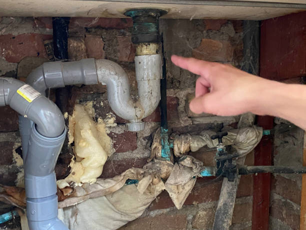 Best Residential water damage restoration  in Lakeland Highlands, FL