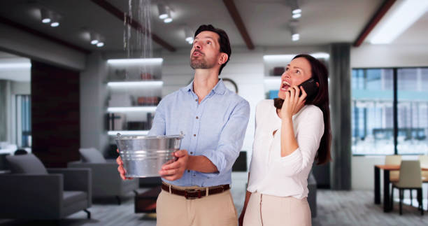 Best 24-hour water damage restoration  in Lakeland Highlands, FL